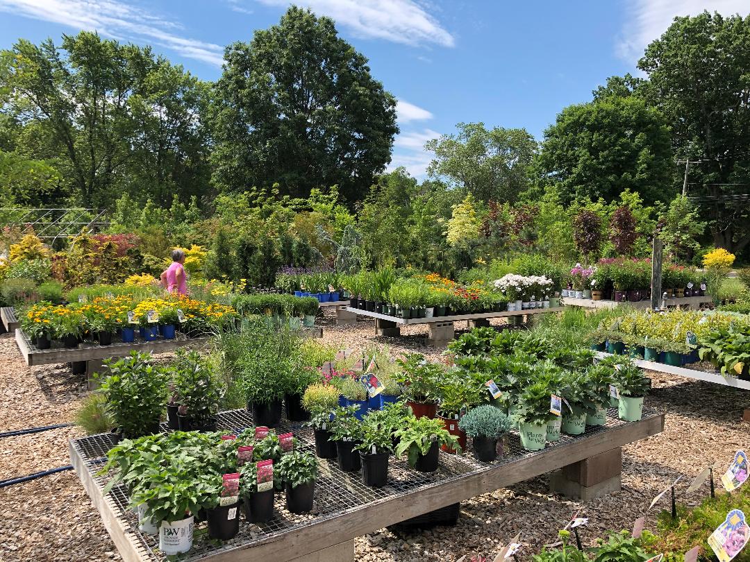 Sprucedale Gardens – Plants and garden supplies